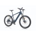 RALF 29''